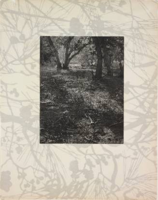Study of Trees