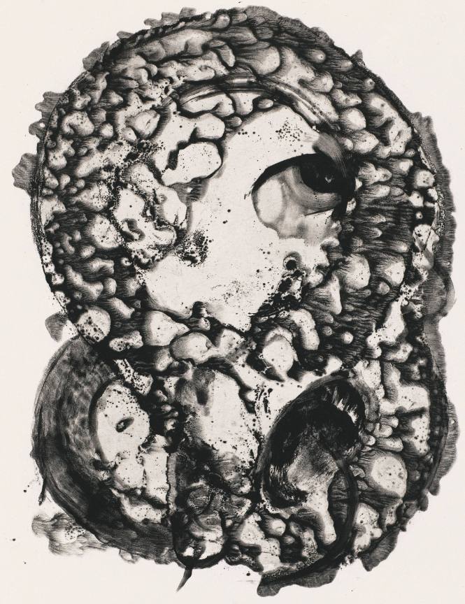 L’Inferno of Dante II: XXVii Agnello Transforming (image)