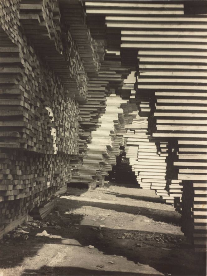 Victor Guidalevitch