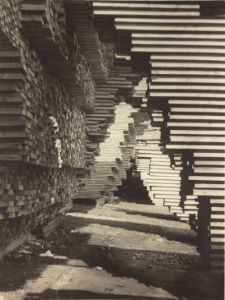 Victor Guidalevitch