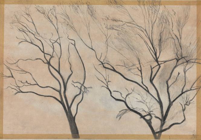 Nut Trees: Red, Yellow, Blue