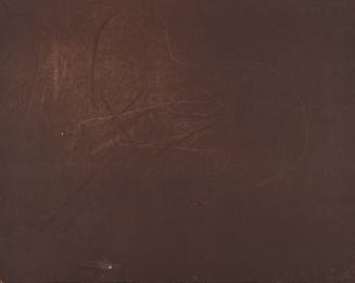 One of nine prints from the portfolio Tod: Cage Without Bars