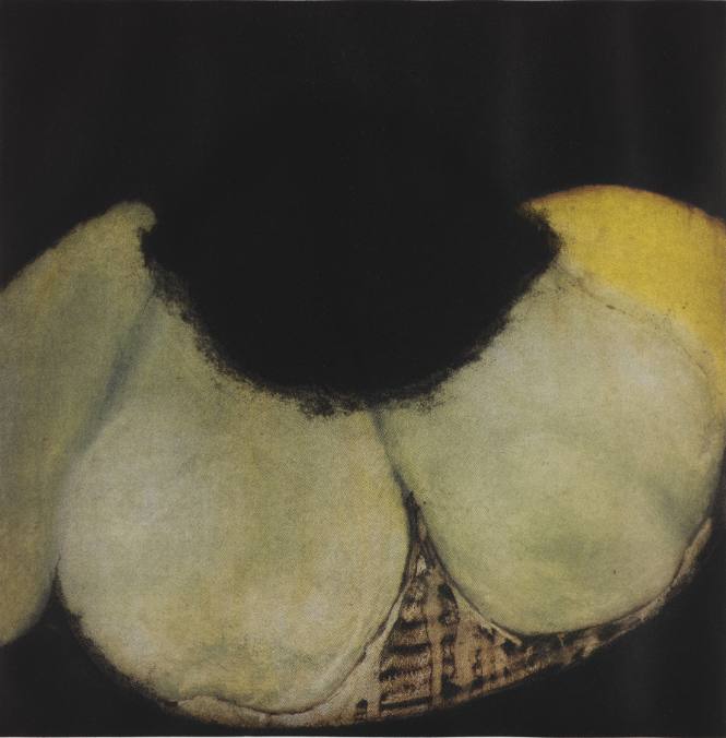 Still Life with Pears and Lemons