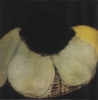 Still Life with Pears and Lemons