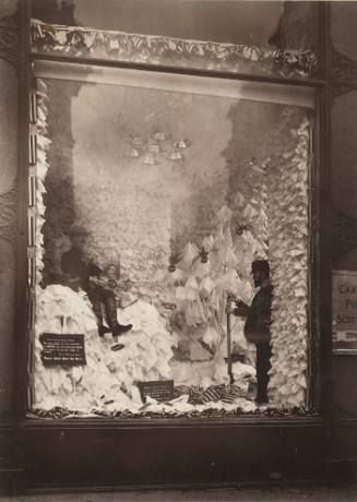 Carson Pirie Scott Department Store Window, Chicago