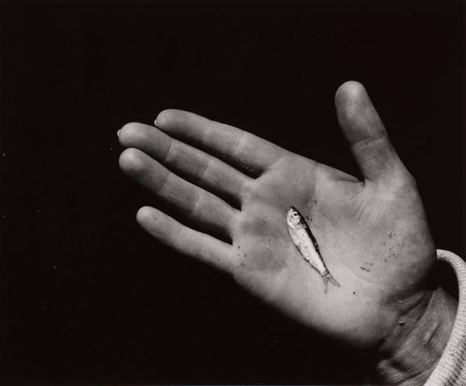 Hand and Fish
