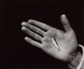 Hand and Fish