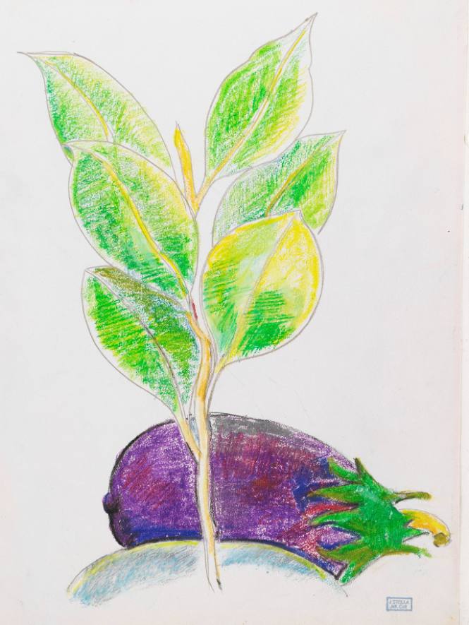 Eggplant and Green Leaves