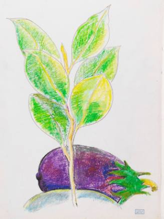 Eggplant and Green Leaves