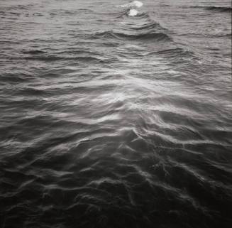 Surface of the Sea