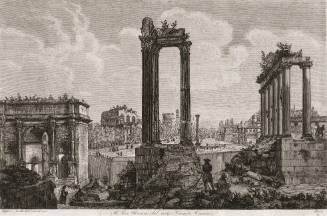 Il Foro Romano dal volgo Campo Vaccino