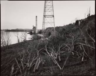Lovett Power Plant and Felled Trees at Stony Point, New York