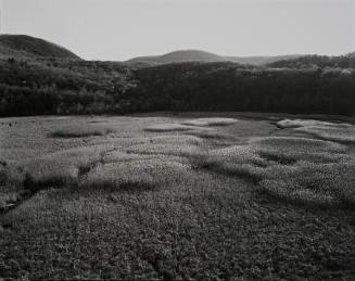 Salisbury Meadow from Iona Island, New York