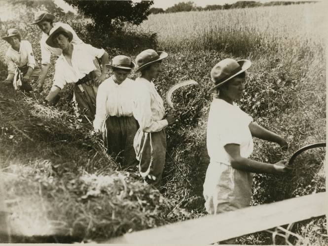 Demonstration of how women are solving the food problem (from the British Ministry of Information photographs of women working in factories during WWI)
