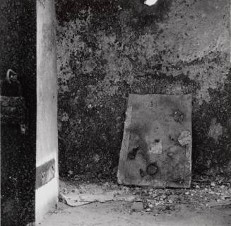 Remembering Joseph Cornell in Merida 68