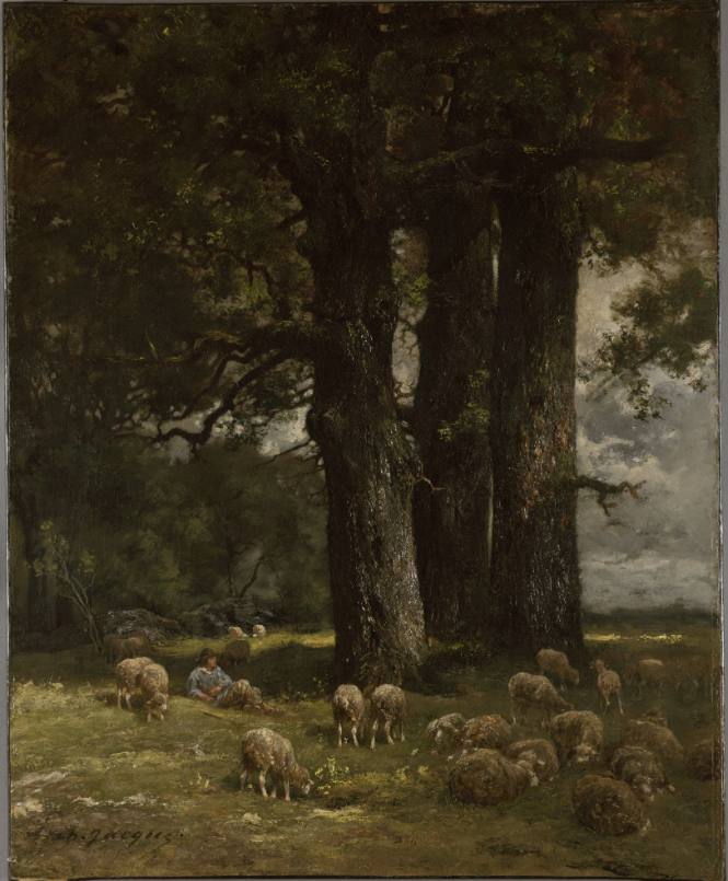 Landscape with Sheep
