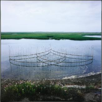 ICHO [August 8, 2000; 58 x 145 feet; 10-foot high reeds in the moors at the end of Provincetown Cape Cod]