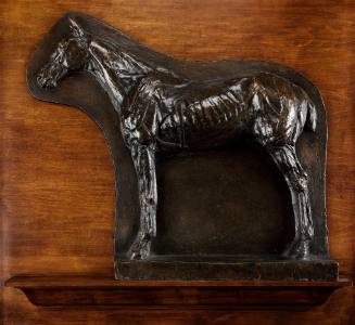 Horse - Écorche