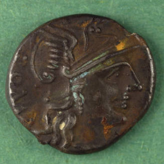 denarius, Roman Republic, 135 BCE