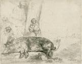 Art, Science, & Technology at the Frances Lehman Loeb Art Center: Zoology