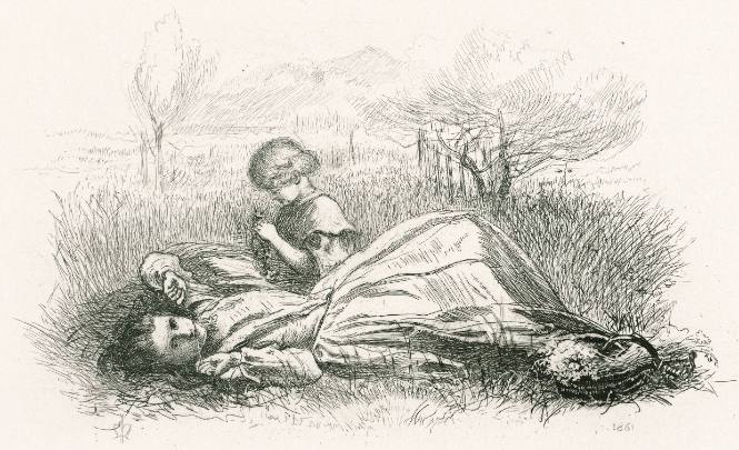 Summer Indolence