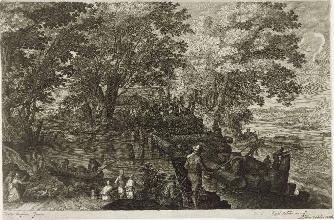 Paysages boisés