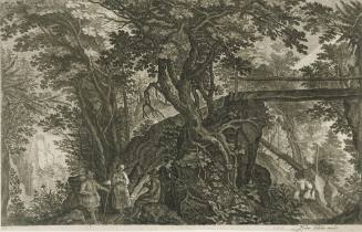 Paysages boisés