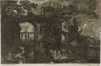 Paysages boisés