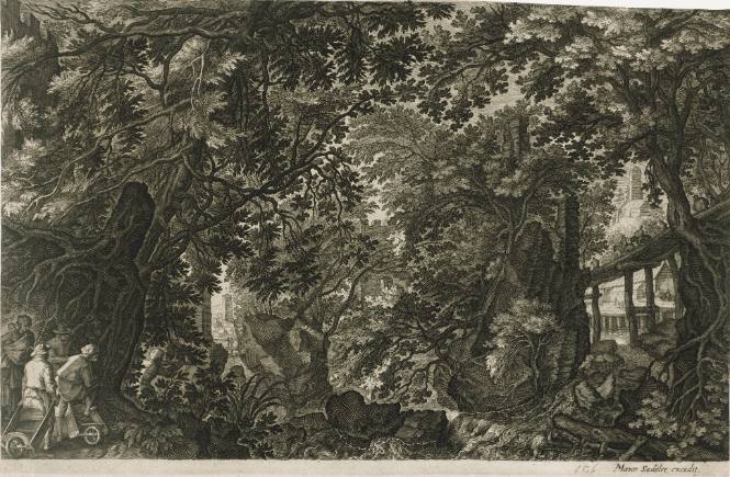 Paysages boisés