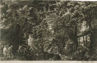 Paysages boisés