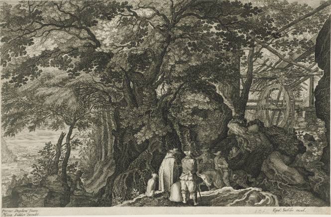 Paysages boisés