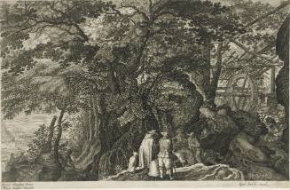 Paysages boisés