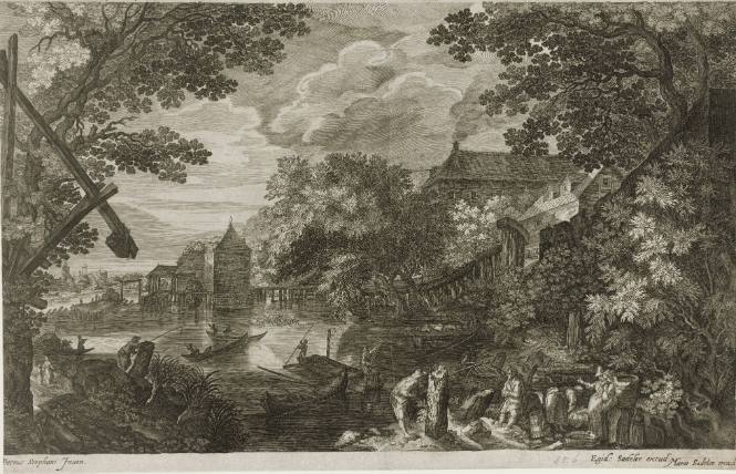 Paysages boisés