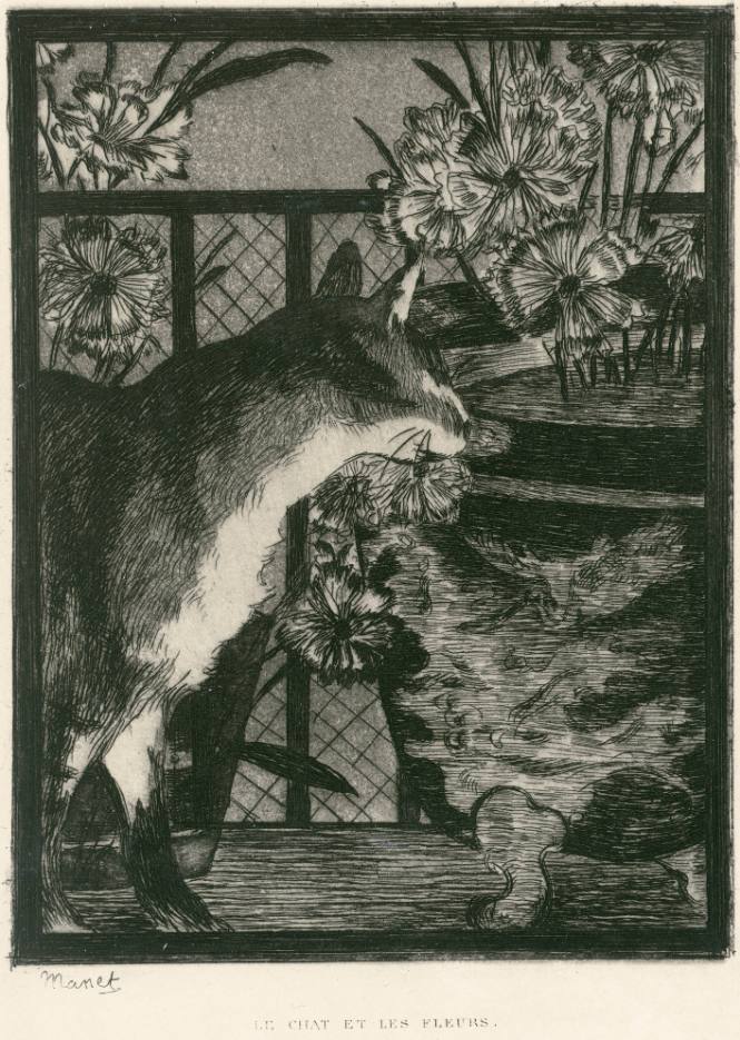 Le chat et les fleurs (Cat and Flowers)