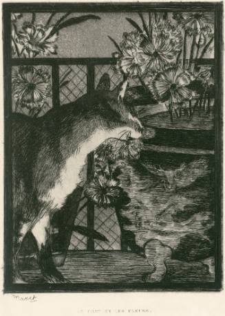 Le chat et les fleurs (Cat and Flowers)