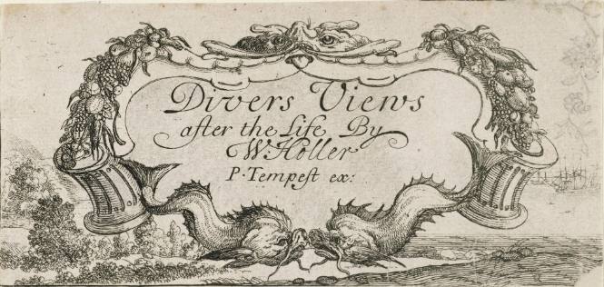Divers Views after the Life: Title Page