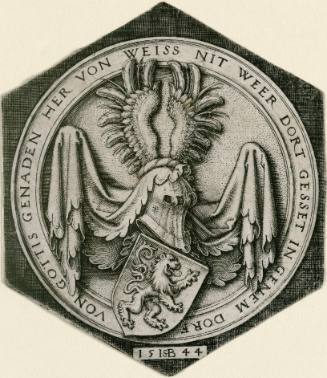 Coat of Arms with a Lion