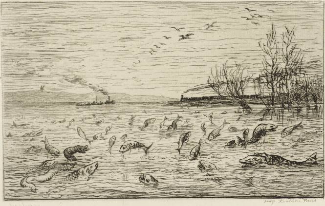Voyage en bateau: Réjouissances des poissons du départ du Mousse