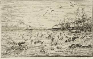 Voyage en bateau: Réjouissances des poissons du départ du Mousse