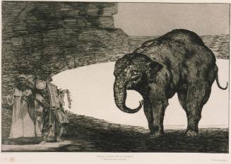 Otras leyes por el pueblo (Other laws for the people) or Disparate de bestia (Animal Folly) from Los Disparates (The Follies) or Los Proverbios