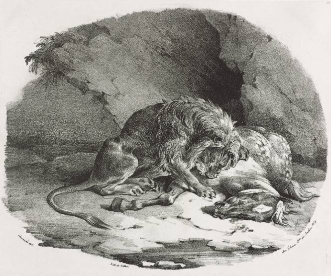 Horse Devoured by a Lion