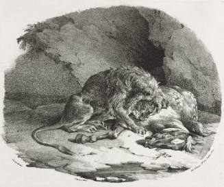 Horse Devoured by a Lion