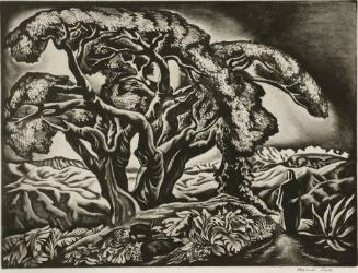 The Desert Tree