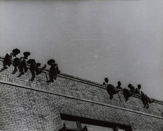 Watching the West Indian Parade from a Roof in Harlem