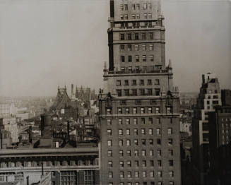 View from Matisse Gallery towards Manhattan Bidge