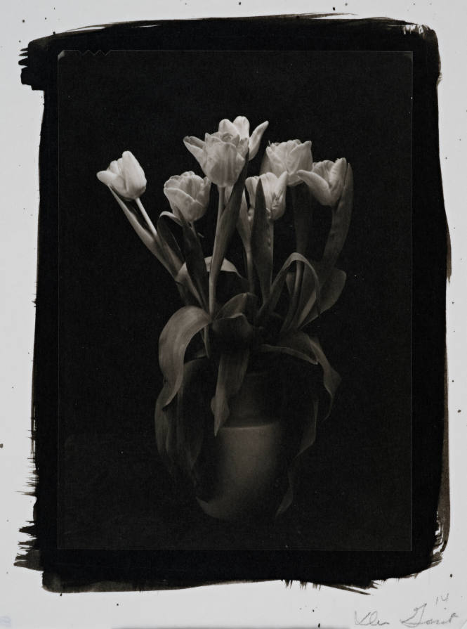 Tulips in a Vase