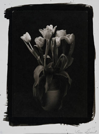 Tulips in a Vase
