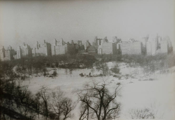 Central Park in a Snowstorm from 9D 146 Central Park West