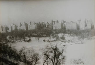Central Park in a Snowstorm from 9D 146 Central Park West