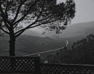 Countryside & Pigeons, Near Florence